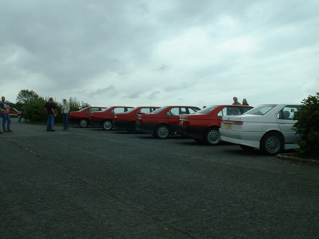 Alfa Gallery 1 (89).jpg  (318.4 Kb)