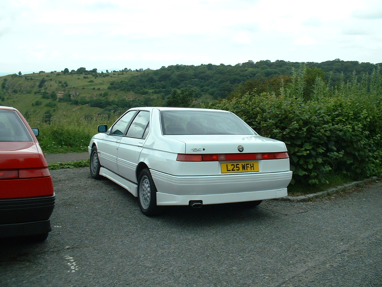 Alfa Gallery 1 (90).jpg  (332.1 Kb)